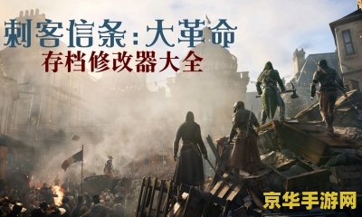 刺客信条3存档损坏