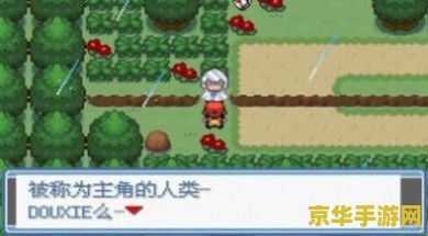 口袋妖怪绿宝石：一段深入奇幻世界的旅程