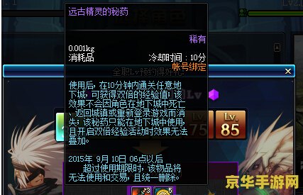 DNF预约等级：游戏特色与玩家体验深度解析