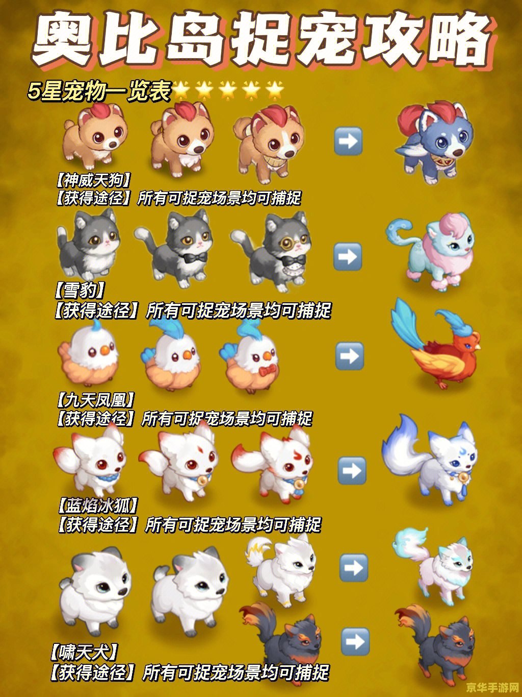 奥比岛宠物