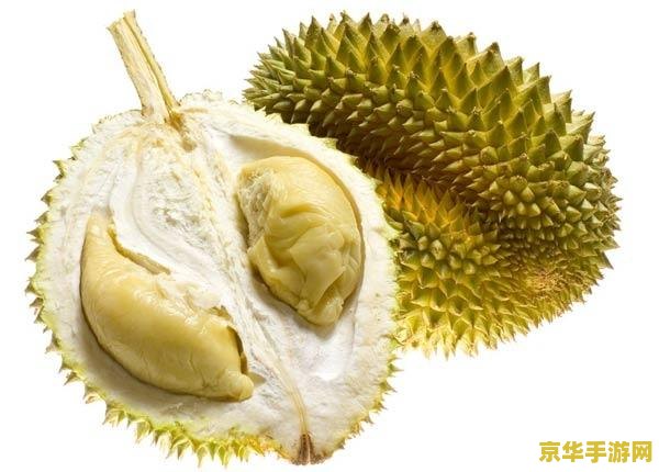 原神榴莲在哪里找