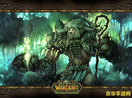魔兽世界防沉迷系统：保护未成年人的健康游戏环境