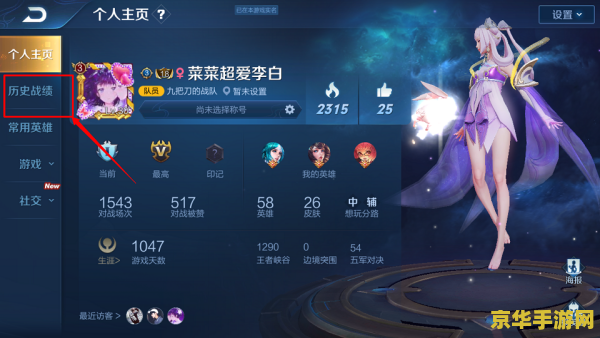 网上如何查看王者荣耀战绩 如何在网上查看王者荣耀战绩