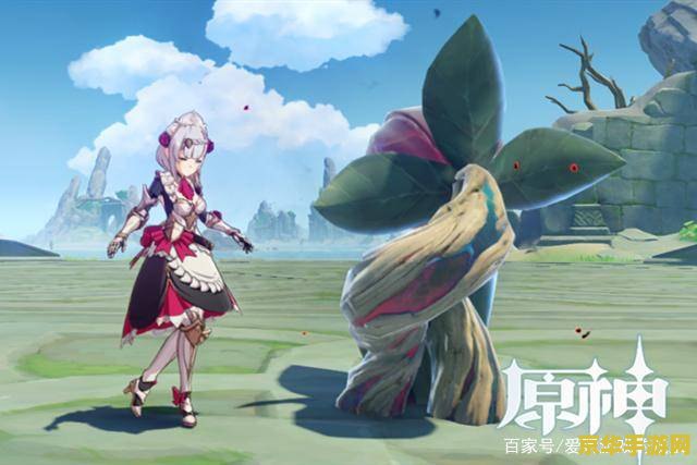 原神诺艾尔无相之岩在哪