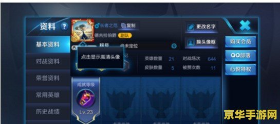 王者荣耀新手入什么区别 王者荣耀新手入门攻略**