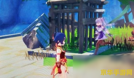 原神璃月无名的宝藏有什么用