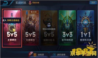 洛克王国最强宠物 洛克王国最强宠物：霸者之路
