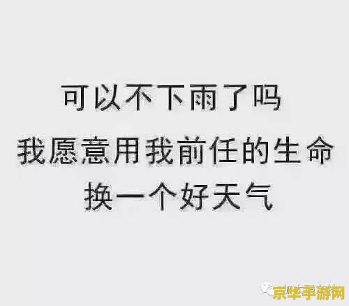 lol道具成 LOL道具城游戏道具购买与使用指南