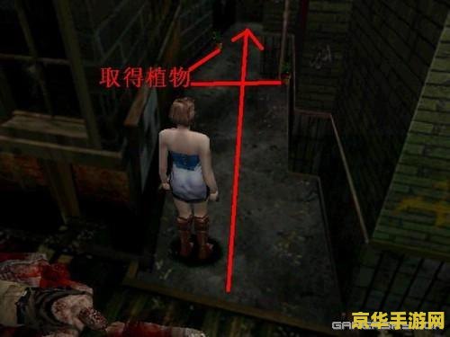 生化危机3 攻略 生化危机3攻略