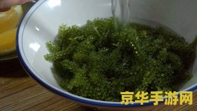 原神绀田村东北方神社调查 原神绀田村东北方神社调查