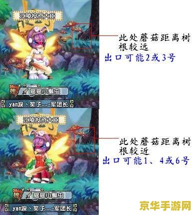 剑姬在王者荣耀叫什么时候更新 剑姬在王者荣耀：何时迎来新篇章
