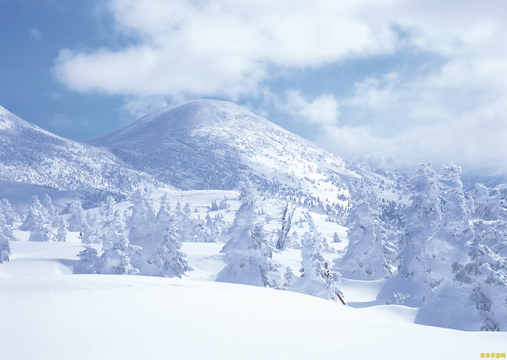 原神雪山山顶风精灵