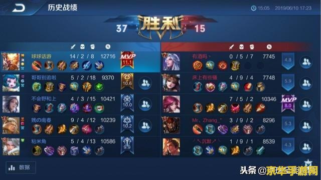 如何看王者荣耀数据