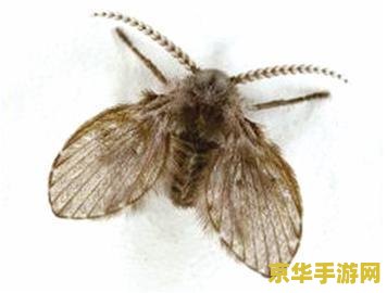 原神鳅鳅宝玉有啥用 原神鳅鳅宝玉用途详解
