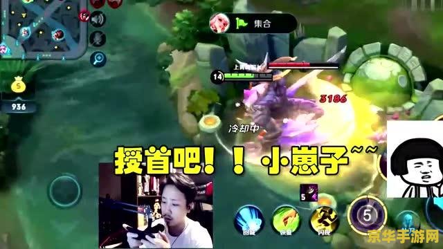 王者荣耀暴君如何打 王者荣耀：暴君的挑战与攻略