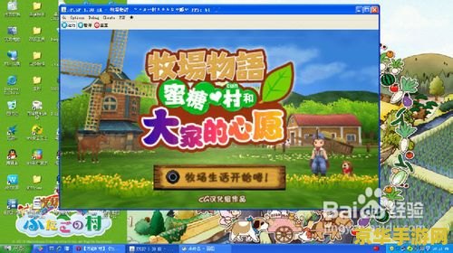 牧场物语蜜糖村攻略