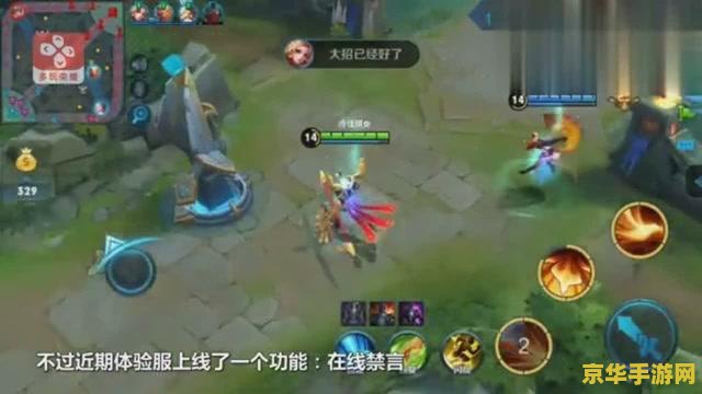 王者荣耀里面如何禁言 王者荣耀：如何正确使用禁言功能