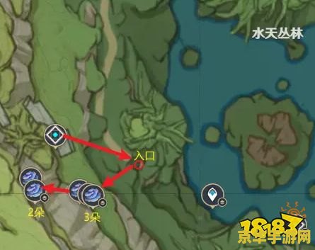 原神柯莱树王菇攻略