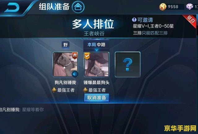 王者荣耀想找伙伴如何取消 王者荣耀如何取消寻找游戏伙伴