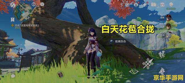 原神凝光琉璃百合位置