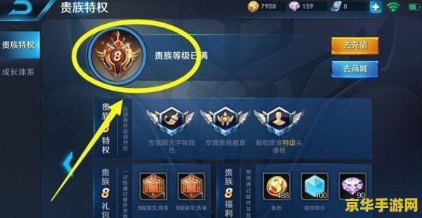 王者荣耀中如何隐藏贵族