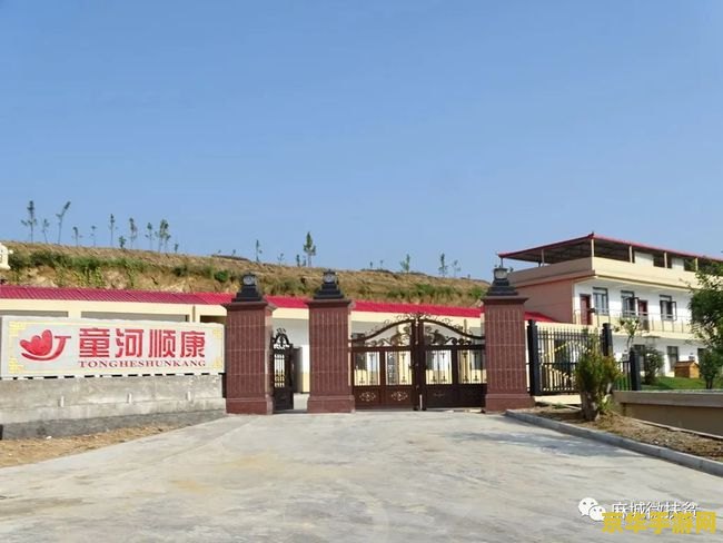 镇石其三原神 原神镇石其三