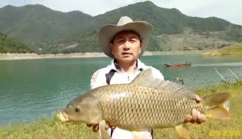 原神垂钓点的鱼几天刷新 原神垂钓点的鱼多久刷新？