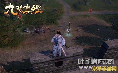 九阴真经锌锭- 真武侠江湖的金属货币