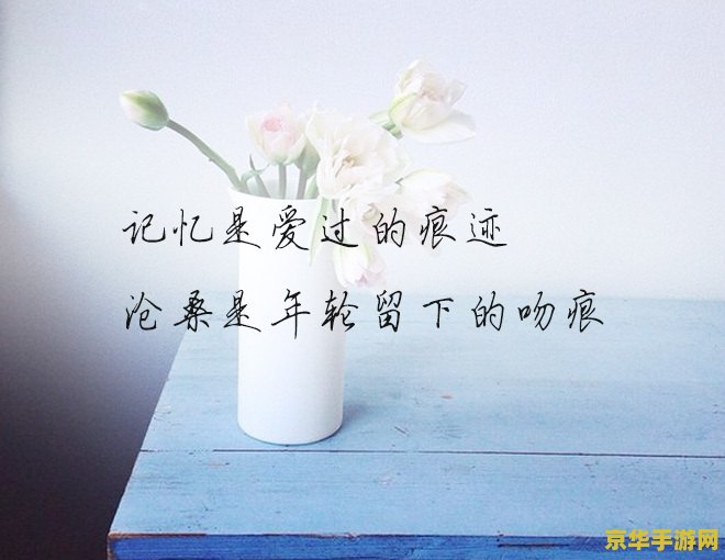 原神无忧无虑的岁月