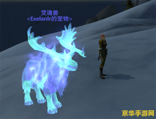 魔兽世界lr灵魂兽