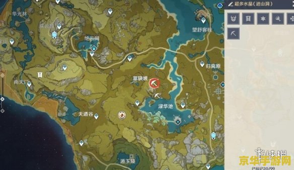王者荣耀伪装是什么意思 王者荣耀伪装解析**