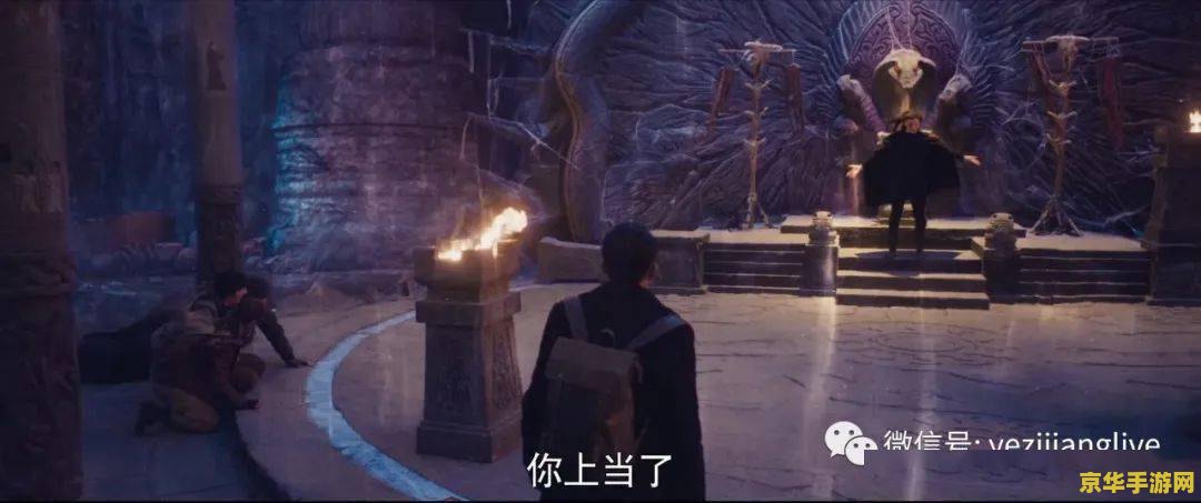 王者荣耀里的意思是什么 王者荣耀里的“刺客”是什么意思**