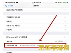 苹果XR如何购买王者荣耀皮肤 苹果XR如何购买王者荣耀皮肤