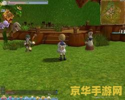 希望ol攻略