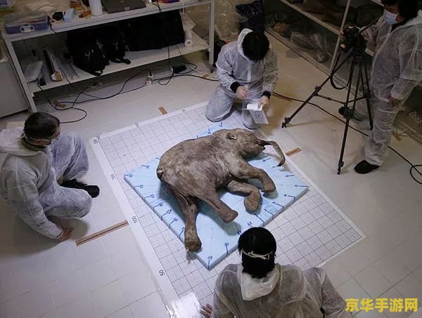 冰河世纪猎人