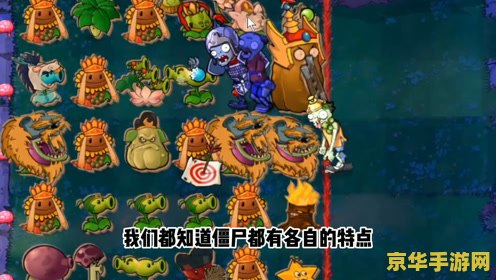 植物大战僵尸2英文版 ：植物大战僵尸2：英文版的独特魅力
