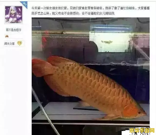原神鱼点多久刷新一次？