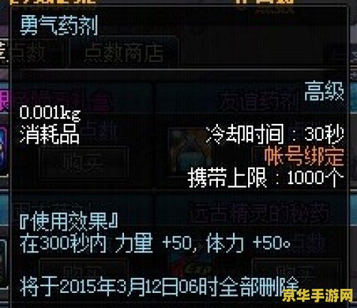 "DNF大叔"游戏体验：独特的战斗风格与丰富的游戏世界