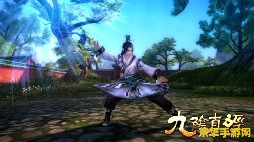九阴真经 易容