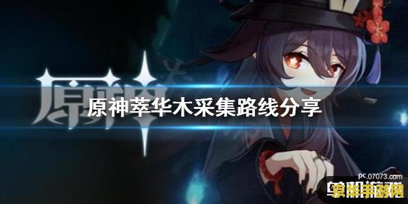 原神0命雷神主c怎么玩 原神0命雷神主c玩法攻略