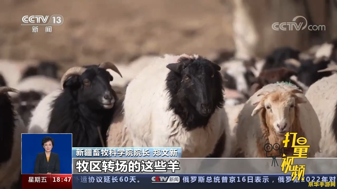 羊了个羊有人过第二关吗 "羊了个羊：闯关的魅力与挑战"