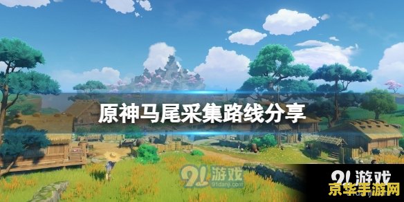 原神中马尾在哪里？