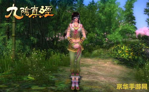 九阴真经太极拳奇遇