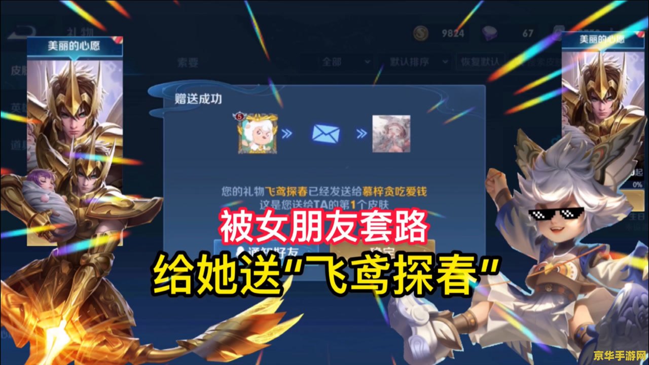 王者荣耀如何查送的皮肤
