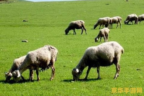 羊了个羊有人过第二关吗 "羊了个羊：闯关的魅力与挑战"