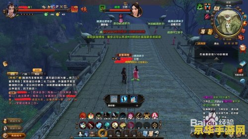 九阴真经刺探任务：深入敌后，揭秘江湖风云