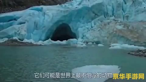 原神雪山玻璃墙怎么破 原神雪山玻璃墙破法及游戏相关内容
