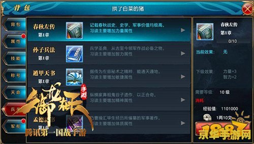 御龙在天羽扇技能加点