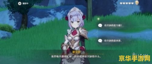 原神诺艾尔冒险家考核