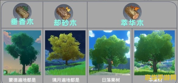 原神怎么砍树：探索游戏中的树木与砍伐技巧